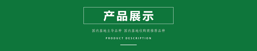 1557882619208284.jpg 00新產(chǎn)品.jpg