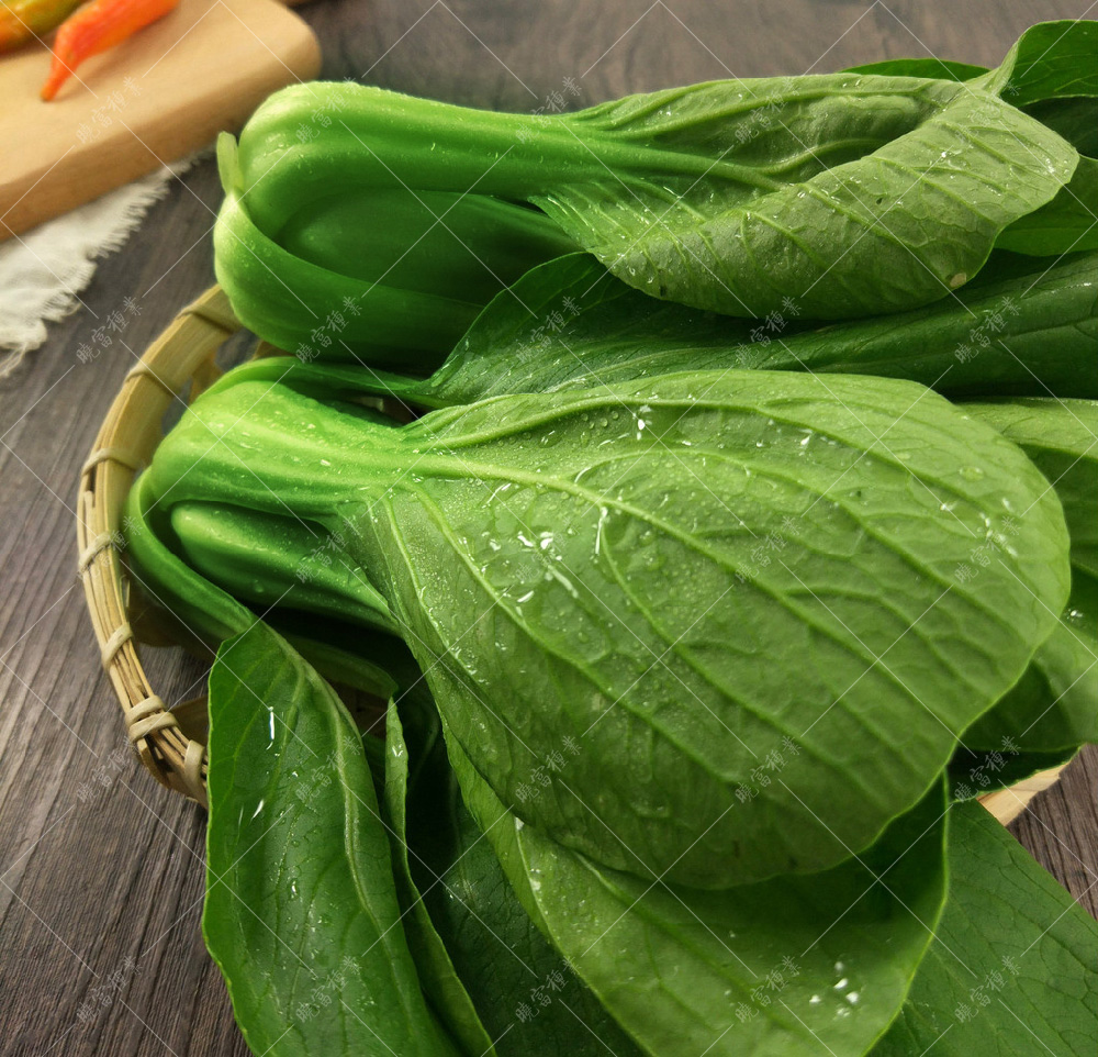 1557882873272645.jpg 22051501_095104085000_2.jpg