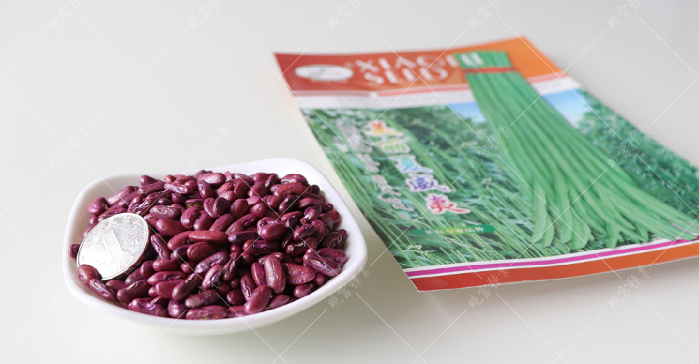 1557990329539776.jpg 50.jpg