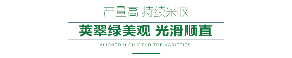 1558056292915940.jpg 詳情頁(yè)24.jpg