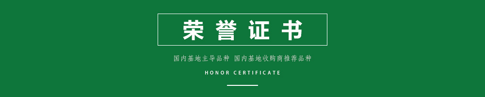 1558343317243606.jpg 01honor certificate.jpg