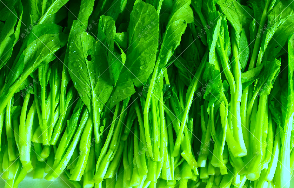 1558595722295903.jpg 未標(biāo)題-1.jpg