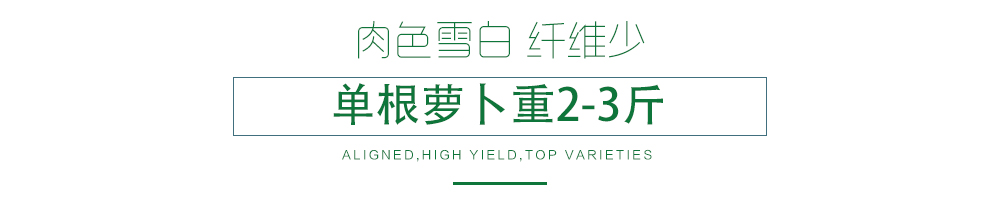 1585788849537898.jpg 03.jpg