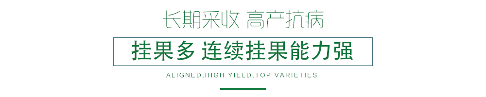 1585790951218608.jpg 07.jpg