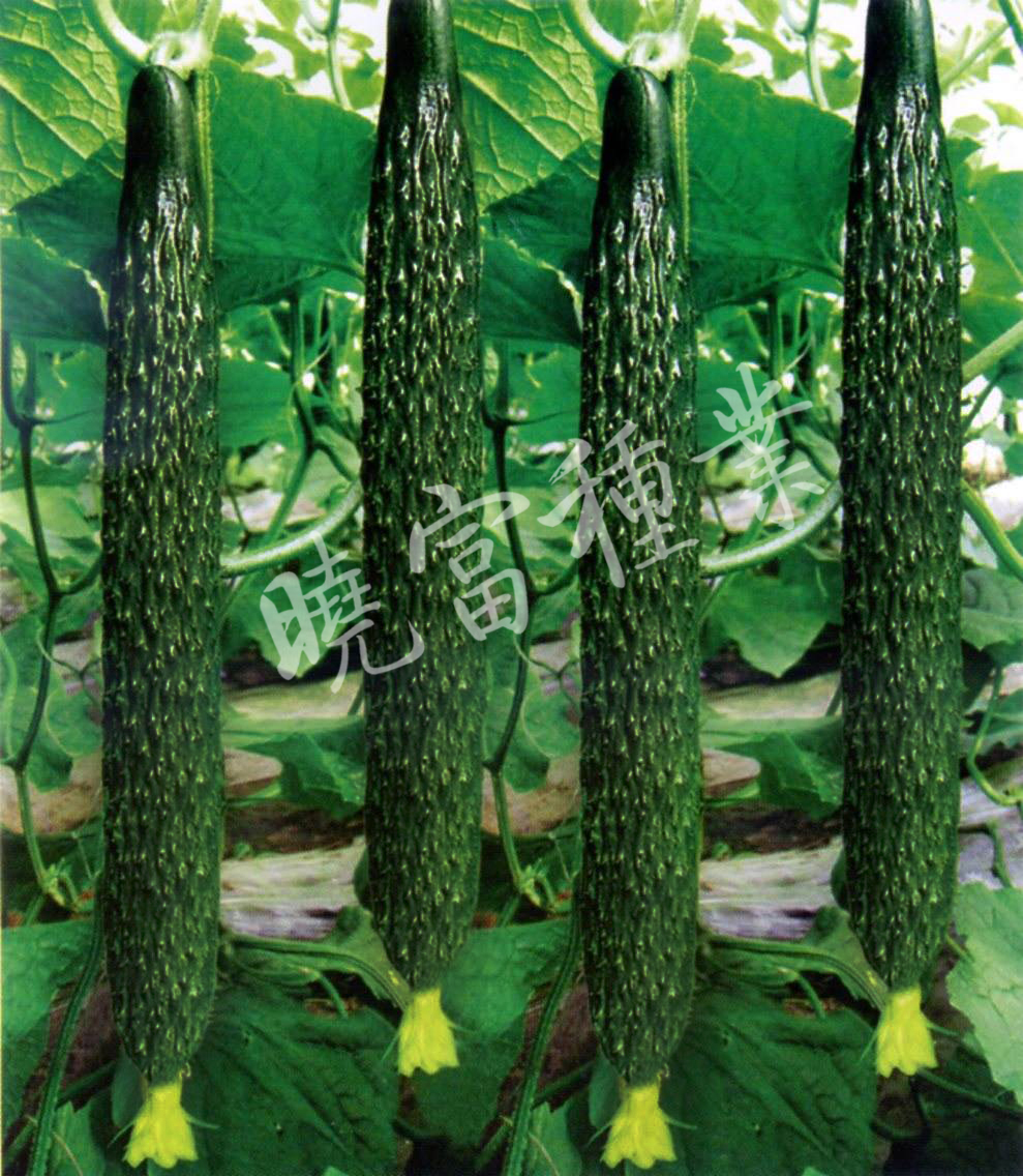 1585991723241155.jpg 04.jpg