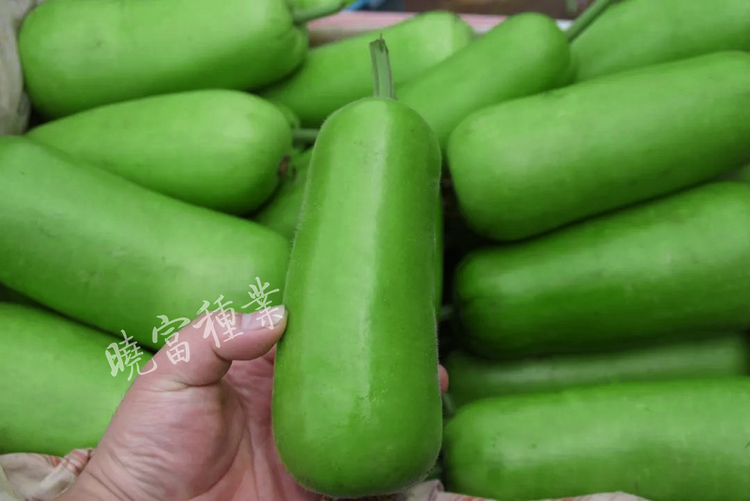 1585991908703808.jpg 06.jpg